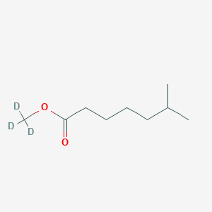 molecular formula C₉H₁₅D₃O₂ B1162358 6-Methylheptanoic Acid Methyl-d3 Ester 