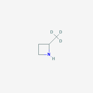 molecular formula C₄H₆D₃N B1162545 2-Methylazetidine-d3 