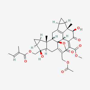 molecular formula C38H44O11 B1162704 Chlorahololide D CAS No. 943136-39-8