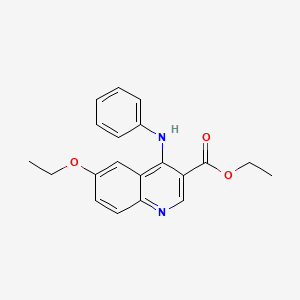 Ethyl 6-ethoxy-4-(phenylamino)quinoline-3-carboxylate