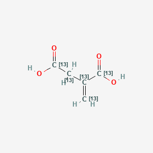 molecular formula ¹³C₅H₆O₄ B1163013 Itaconic acid-13C5 