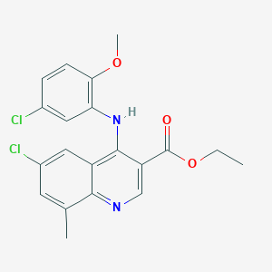 Ethyl 6-chloro-4-[(5-chloro-2-methoxyphenyl)amino]-8-methylquinoline-3-carboxylate