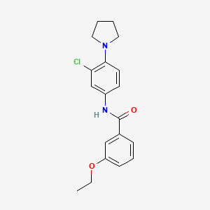 N-[3-chloro-4-(pyrrolidin-1-yl)phenyl]-3-ethoxybenzamide