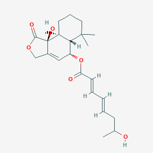 molecular formula C23H32O6 B1163740 Ustusolate C CAS No. 1188398-15-3