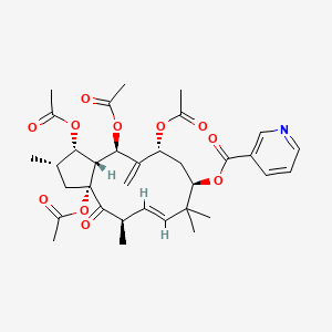 molecular formula C34H43NO11 B1163892 3,5,7,15-Tetraacetoxy-9-nicotinoyloxy-6(17),11-jatrophadien-14-one CAS No. 244277-75-6