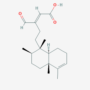 molecular formula C20H30O3 B1164255 16-氧代克莱罗达-3,13E-二烯-15-酸 CAS No. 117620-72-1