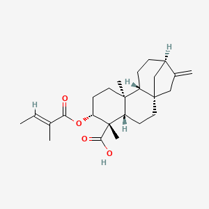 molecular formula C25H36O4 B1164376 ent-3Beta-Tigloyloxykaur-16-en-19-oic acid CAS No. 79406-09-0