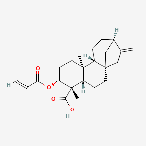 molecular formula C25H36O4 B1164377 ent-3Beta-Angeloyloxykaur-16-en-19-oic acid CAS No. 74635-61-3