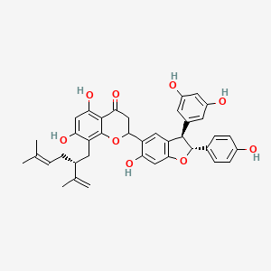 B1164414 2-[(2R,3R)-3-(3,5-Dihydroxyphenyl)-6-hydroxy-2-(4-hydroxyphenyl)-2,3-dihydro-1-benzofuran-5-yl]-5,7-dihydroxy-8-[(2R)-5-methyl-2-prop-1-en-2-ylhex-4-enyl]-2,3-dihydrochromen-4-one CAS No. 136997-69-8