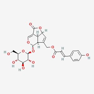 molecular formula C25H26O12 B1164420 10-O-香豆酰-10-O-去乙酰天冬酰苷 CAS No. 903519-82-4