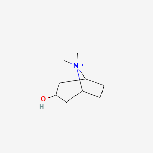 3-Hydroxy-8,8-dimethyl-8-azoniabicyclo[3.2.1]octane