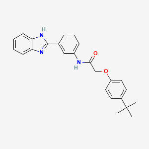 N-[3-(1H-benzimidazol-2-yl)phenyl]-2-(4-tert-butylphenoxy)acetamide