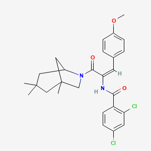 molecular formula C27H30Cl2N2O3 B11649742 2,4-dichloro-N-[(1E)-1-(4-methoxyphenyl)-3-oxo-3-(1,3,3-trimethyl-6-azabicyclo[3.2.1]oct-6-yl)prop-1-en-2-yl]benzamide 