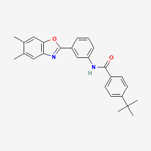 4-tert-butyl-N-[3-(5,6-dimethyl-1,3-benzoxazol-2-yl)phenyl]benzamide