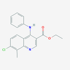 molecular formula C19H17ClN2O2 B11654787 Ethyl 7-chloro-8-methyl-4-(phenylamino)quinoline-3-carboxylate 