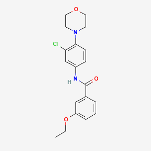 molecular formula C19H21ClN2O3 B11655395 N-[3-chloro-4-(morpholin-4-yl)phenyl]-3-ethoxybenzamide 