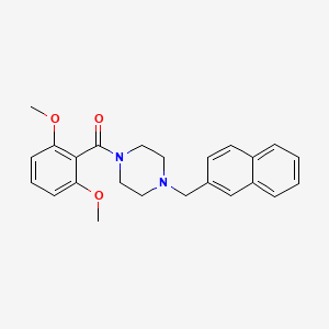 (2,6-Dimethoxyphenyl)[4-(naphthalen-2-ylmethyl)piperazin-1-yl]methanone