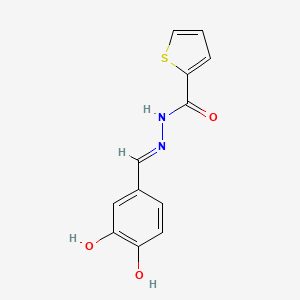 molecular formula C12H10N2O3S B11660978 N'-[(E)-(3,4-dihydroxyphenyl)methylidene]thiophene-2-carbohydrazide 