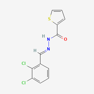 molecular formula C12H8Cl2N2OS B11661333 N'-(2,3-dichlorobenzylidene)-2-thiophenecarbohydrazide 