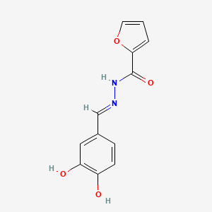 molecular formula C12H10N2O4 B11664226 N'-[(E)-(3,4-dihydroxyphenyl)methylidene]furan-2-carbohydrazide 