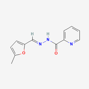 Pyridine-2-carboxylic acid (5-methyl-furan-2-ylmethylene)-hydrazide