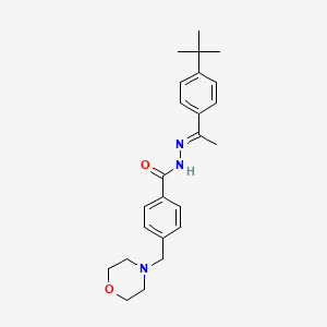 molecular formula C24H31N3O2 B11665519 N'-[(1E)-1-(4-tert-butylphenyl)ethylidene]-4-(morpholin-4-ylmethyl)benzohydrazide 