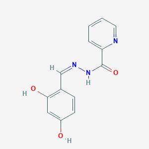 molecular formula C13H11N3O3 B11665576 N'-[(Z)-(2,4-Dihydroxyphenyl)methylidene]pyridine-2-carbohydrazide 