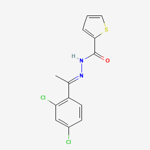 N'-[(1E)-1-(2,4-dichlorophenyl)ethylidene]thiophene-2-carbohydrazide