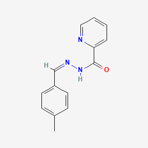 molecular formula C14H13N3O B11666358 N'-[(Z)-(4-Methylphenyl)methylidene]pyridine-2-carbohydrazide 