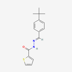 N'-[(E)-(4-tert-butylphenyl)methylidene]thiophene-2-carbohydrazide