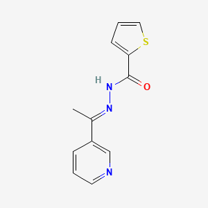 N'-[(E)-1-(3-pyridinyl)ethylidene]-2-thiophenecarbohydrazide