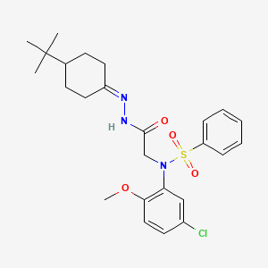 molecular formula C25H32ClN3O4S B11667221 N-{[N'-(4-Tert-butylcyclohexylidene)hydrazinecarbonyl]methyl}-N-(5-chloro-2-methoxyphenyl)benzenesulfonamide 