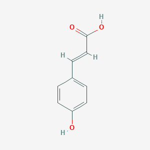 molecular formula C9H8O3 B116677 4-羟基肉桂酸 CAS No. 501-98-4