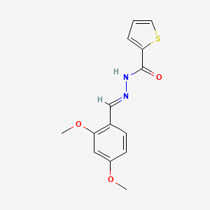 molecular formula C14H14N2O3S B11670930 N'-[(E)-(2,4-dimethoxyphenyl)methylidene]thiophene-2-carbohydrazide 