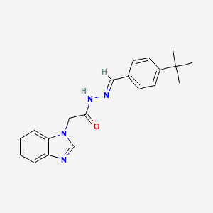 2-(1H-benzimidazol-1-yl)-N'-[(E)-(4-tert-butylphenyl)methylidene]acetohydrazide