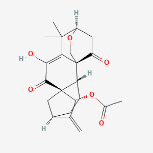 molecular formula C22H26O6 B1167172 [(1S,2S,5R,7R,8S,13R)-10-hydroxy-12,12-dimethyl-6-methylidene-9,16-dioxo-14-oxapentacyclo[11.2.2.15,8.01,11.02,8]octadec-10-en-7-yl] acetate CAS No. 125332-48-1