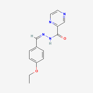 molecular formula C14H14N4O2 B11672129 N'-[(Z)-(4-ethoxyphenyl)methylidene]pyrazine-2-carbohydrazide 