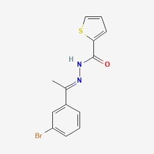 molecular formula C13H11BrN2OS B11673495 N'-[(1E)-1-(3-bromophenyl)ethylidene]thiophene-2-carbohydrazide 