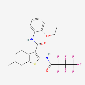 N-(2-ethoxyphenyl)-2-[(2,2,3,3,4,4,4-heptafluorobutanoyl)amino]-6-methyl-4,5,6,7-tetrahydro-1-benzothiophene-3-carboxamide