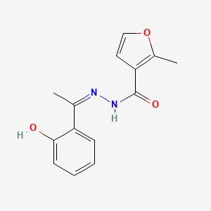 molecular formula C14H14N2O3 B11674176 N'-[(1Z)-1-(2-Hydroxyphenyl)ethylidene]-2-methylfuran-3-carbohydrazide CAS No. 315205-80-2