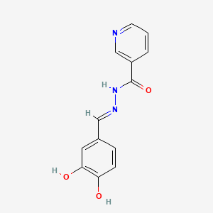 molecular formula C13H11N3O3 B11674322 N'-[(E)-(3,4-dihydroxyphenyl)methylidene]pyridine-3-carbohydrazide 