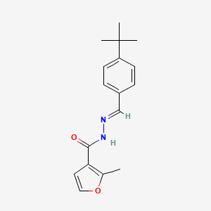 molecular formula C17H20N2O2 B11674857 N'-[(E)-(4-tert-butylphenyl)methylidene]-2-methylfuran-3-carbohydrazide 