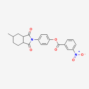 molecular formula C22H20N2O6 B11675387 4-(5-methyl-1,3-dioxooctahydro-2H-isoindol-2-yl)phenyl 3-nitrobenzoate 