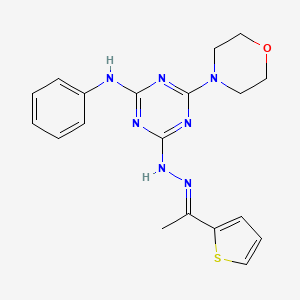 molecular formula C19H21N7OS B11677376 4-(morpholin-4-yl)-N-phenyl-6-{(2E)-2-[1-(thiophen-2-yl)ethylidene]hydrazinyl}-1,3,5-triazin-2-amine 