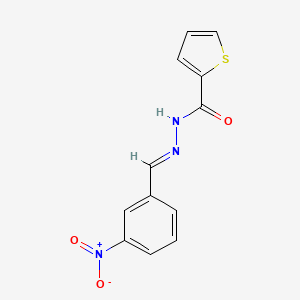 N'-(3-nitrobenzylidene)-2-thiophenecarbohydrazide