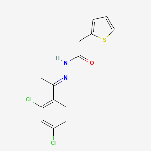 N'-[(E)-1-(2,4-dichlorophenyl)ethylidene]-2-(2-thienyl)acetohydrazide