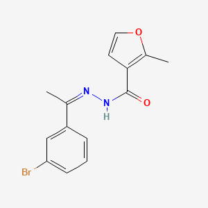 molecular formula C14H13BrN2O2 B11681904 N'-[(1Z)-1-(3-Bromophenyl)ethylidene]-2-methylfuran-3-carbohydrazide 