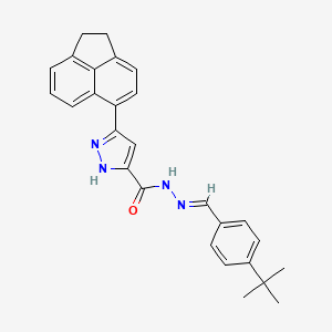 N'-[(E)-(4-Tert-butylphenyl)methylidene]-3-(1,2-dihydro-5-acenaphthylenyl)-1H-pyrazole-5-carbohydrazide