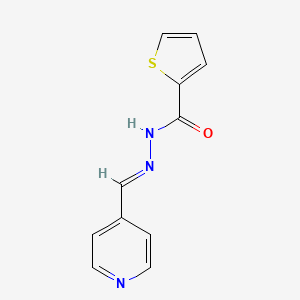 molecular formula C11H9N3OS B11687589 N'-[(E)-pyridin-4-ylmethylidene]thiophene-2-carbohydrazide CAS No. 270576-22-2