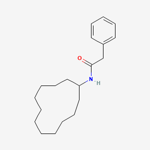 N-cyclododecyl-2-phenylacetamide